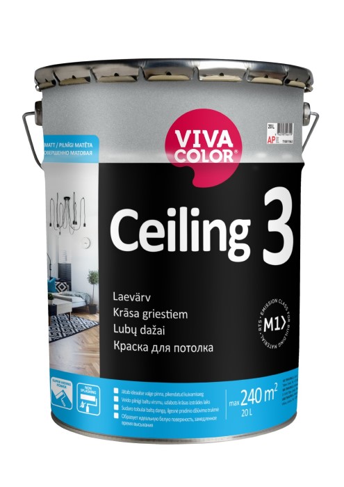 Ceiling 3